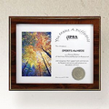 Hidden Slot Slide-In Overlay Plaque Certificate Frame (10 1/2"x13")